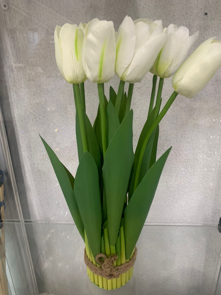 Tulipa flor branca gd (12 un)