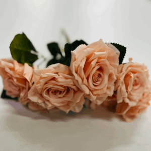 BUQUE ROSA JENNY SALMON