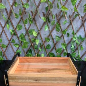 BANDEJA DE MADEIRA RETAN SEMI FUNDA C/ALÇA PRETA C/36 L/21 / AL/