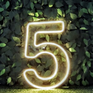 NUMERO 5  DE ACRILICO  LED